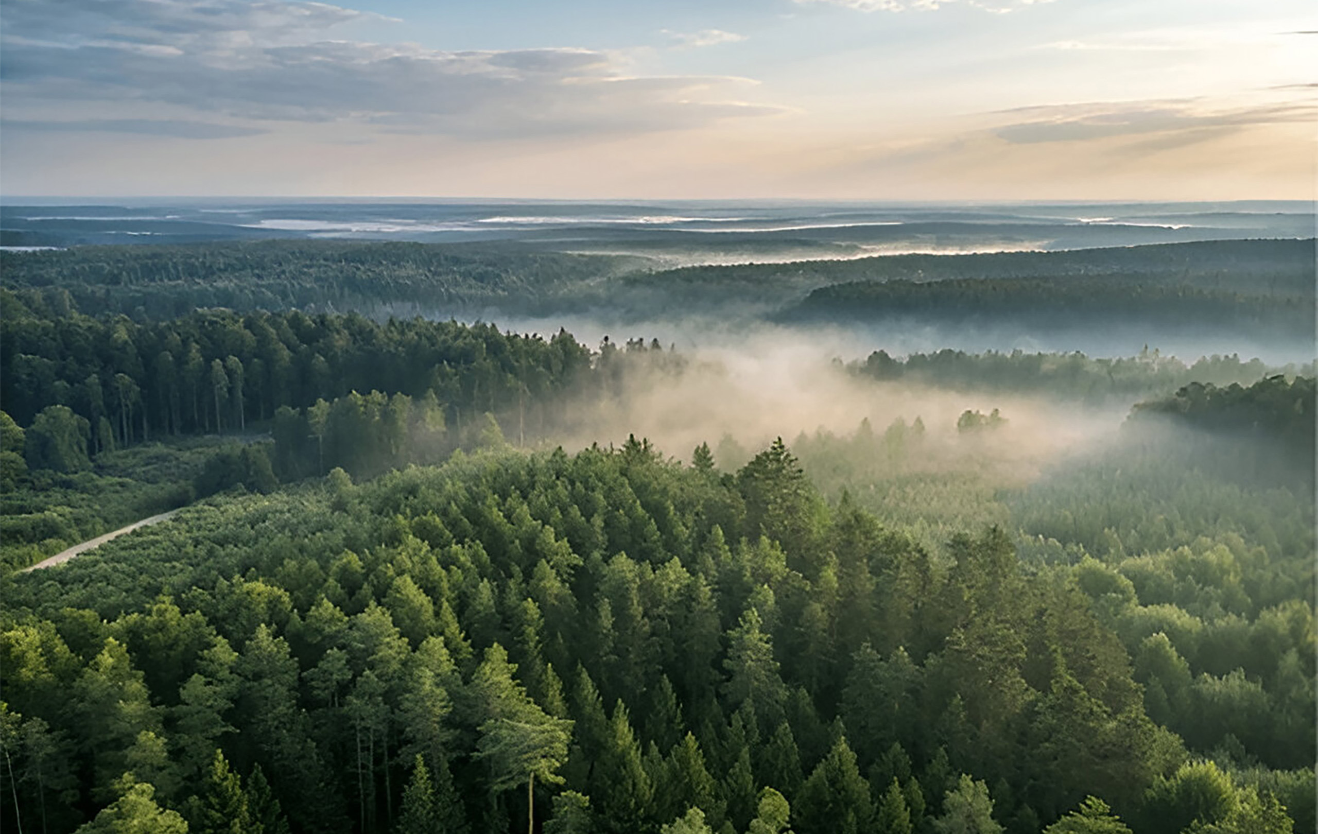 wald-04